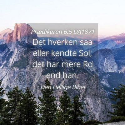 Picture 04 - Prædikeren 6:5 DA1871 - Det hverken saa eller kendte Sol; det har mere Ro - Bible Verse Picture