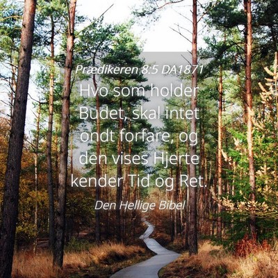 Picture 04 - Prædikeren 8:5 DA1871 - Hvo som holder Budet, skal intet ondt forfare, og - Bible Verse Picture