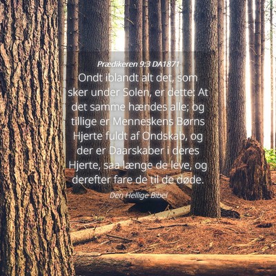 Picture 04 - Prædikeren 9:3 DA1871 - Ondt iblandt alt det, som sker under Solen, er - Bible Verse Picture