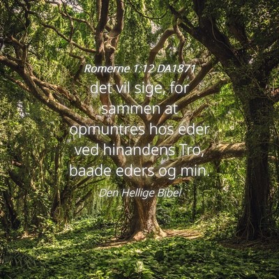 Picture 04 - Romerne 1:12 DA1871 - det vil sige, for sammen at opmuntres hos eder - Bible Verse Picture