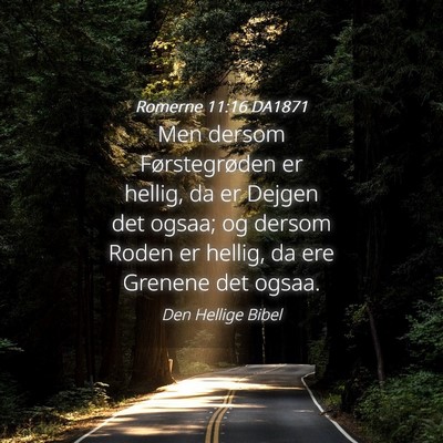 Picture 04 - Romerne 11:16 DA1871 - Men dersom Førstegrøden er hellig, da er Dejgen - Bible Verse Picture