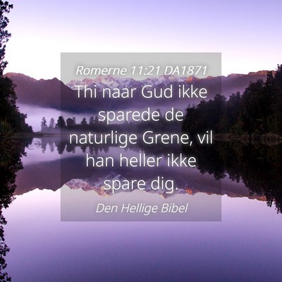 Picture 04 - Romerne 11:21 DA1871 - Thi naar Gud ikke sparede de naturlige Grene, vil - Bible Verse Picture