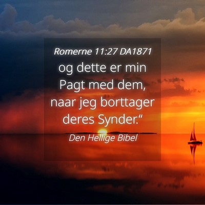 Picture 04 - Romerne 11:27 DA1871 - og dette er min Pagt med dem, naar jeg borttager - Bible Verse Picture