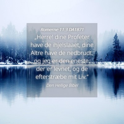 Picture 04 - Romerne 11:3 DA1871 - „Herre! dine Profeter have de ihjelslaaet, dine - Bible Verse Picture