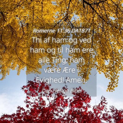 Picture 04 - Romerne 11:36 DA1871 - Thi af ham og ved ham og til ham ere alle Ting; - Bible Verse Picture