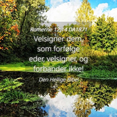 Picture 04 - Romerne 12:14 DA1871 - Velsigner dem, som forfølge eder, velsigner, og - Bible Verse Picture