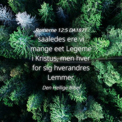 Picture 04 - Romerne 12:5 DA1871 - saaledes ere vi mange eet Legeme i Kristus, men - Bible Verse Picture