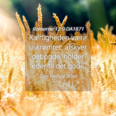 Picture 04 - Romerne 12:9 DA1871 - Kærligheden være uskrømtet; afskyer det onde, - Bible Verse Picture