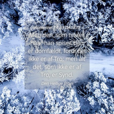 Picture 04 - Romerne 14:23 DA1871 - Men den, som tvivler, naar han spiser, han er - Bible Verse Picture
