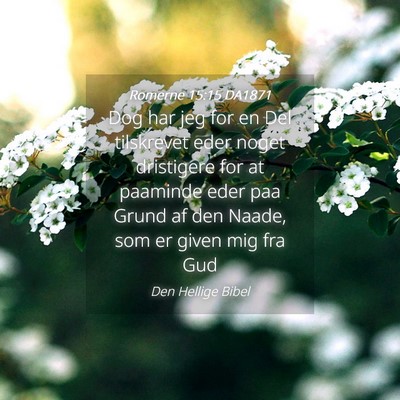 Picture 04 - Romerne 15:15 DA1871 - Dog har jeg for en Del tilskrevet eder noget - Bible Verse Picture