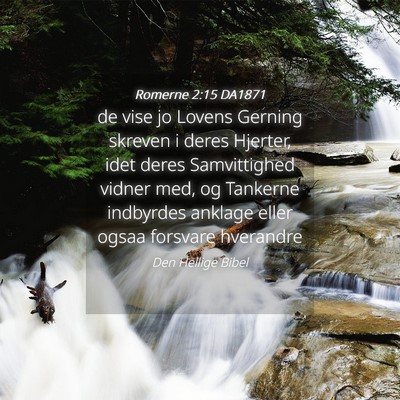 Picture 04 - Romerne 2:15 DA1871 - de vise jo Lovens Gerning skreven i deres - Bible Verse Picture