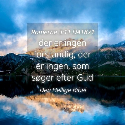 Picture 04 - Romerne 3:11 DA1871 - der er ingen forstandig, der er ingen, som søger - Bible Verse Picture