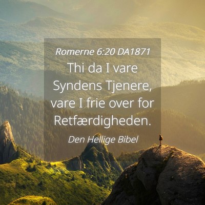 Picture 04 - Romerne 6:20 DA1871 - Thi da I vare Syndens Tjenere, vare I frie over - Bible Verse Picture