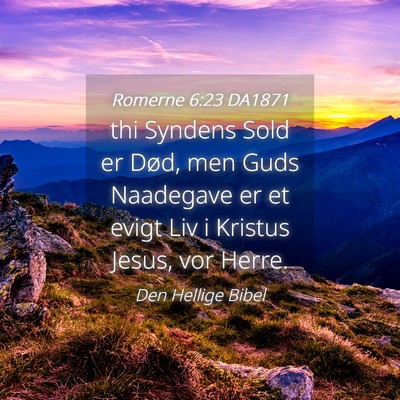 Picture 04 - Romerne 6:23 DA1871 - thi Syndens Sold er Død, men Guds Naadegave er - Bible Verse Picture