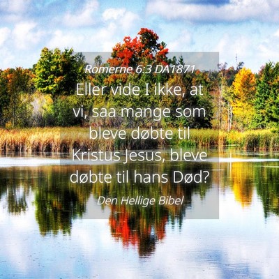 Picture 04 - Romerne 6:3 DA1871 - Eller vide I ikke, at vi, saa mange som bleve - Bible Verse Picture
