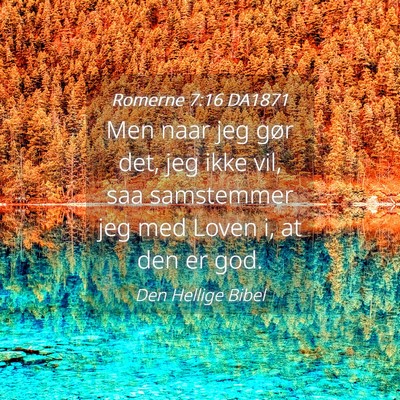 Picture 04 - Romerne 7:16 DA1871 - Men naar jeg gør det, jeg ikke vil, saa - Bible Verse Picture