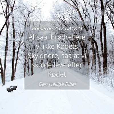 Picture 04 - Romerne 8:12 DA1871 - Altsaa, Brødre! ere vi ikke Kødets Skyldnere, - Bible Verse Picture