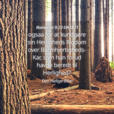 Picture 04 - Romerne 9:23 DA1871 - ogsaa for at kundgøre sin Herligheds Rigdom over - Bible Verse Picture