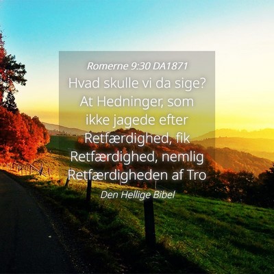 Picture 04 - Romerne 9:30 DA1871 - Hvad skulle vi da sige? At Hedninger, som ikke - Bible Verse Picture