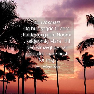 Picture 04 - Rut 1:20 DA1871 - Og hun sagde til dem: Kalder mig ikke Noomi , - Bible Verse Picture