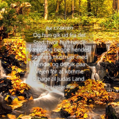 Picture 04 - Rut 1:7 DA1871 - Og hun gik ud fra det Sted, hvor hun havde - Bible Verse Picture