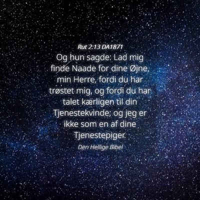 Picture 04 - Rut 2:13 DA1871 - Og hun sagde: Lad mig finde Naade for dine Øjne, - Bible Verse Picture