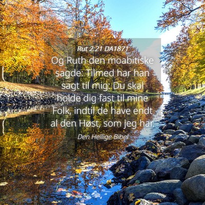 Picture 04 - Rut 2:21 DA1871 - Og Ruth den moabitiske sagde: Tilmed har han sagt - Bible Verse Picture