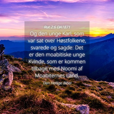 Picture 04 - Rut 2:6 DA1871 - Og den unge Karl, som var sat over Høstfolkene, - Bible Verse Picture
