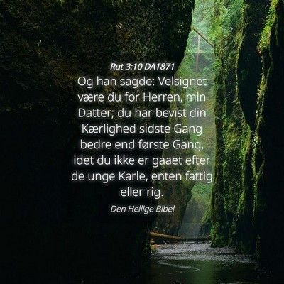 Picture 04 - Rut 3:10 DA1871 - Og han sagde: Velsignet være du for Herren, min - Bible Verse Picture