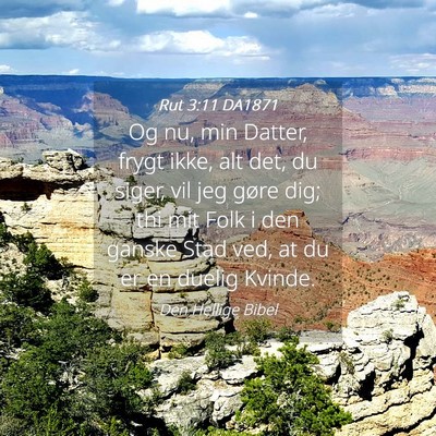 Picture 04 - Rut 3:11 DA1871 - Og nu, min Datter, frygt ikke, alt det, du siger, - Bible Verse Picture
