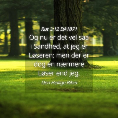 Picture 04 - Rut 3:12 DA1871 - Og nu er det vel saa i Sandhed, at jeg er - Bible Verse Picture