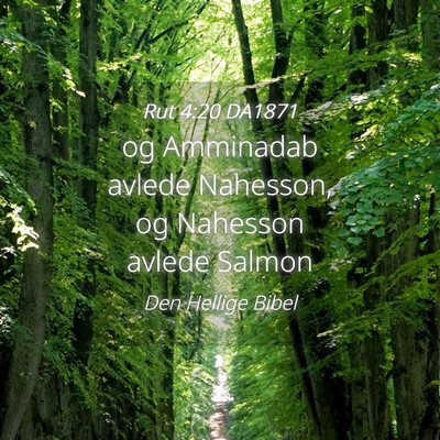Picture 04 - Rut 4:20 DA1871 - og Amminadab avlede Nahesson, og Nahesson avlede - Bible Verse Picture