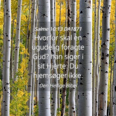 Picture 04 - Salme 10:13 DA1871 - Hvorfor skal en ugudelig foragte Gud? han siger i - Bible Verse Picture