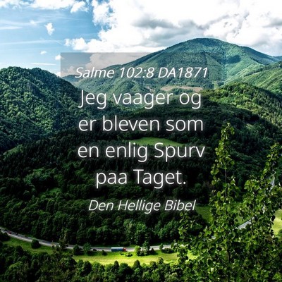 Picture 04 - Salme 102:8 DA1871 - Jeg vaager og er bleven som en enlig Spurv paa - Bible Verse Picture