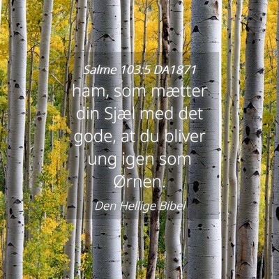 Picture 04 - Salme 103:5 DA1871 - ham, som mætter din Sjæl med det gode, at du - Bible Verse Picture