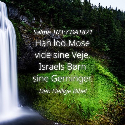 Picture 04 - Salme 103:7 DA1871 - Han lod Mose vide sine Veje, Israels Børn sine - Bible Verse Picture