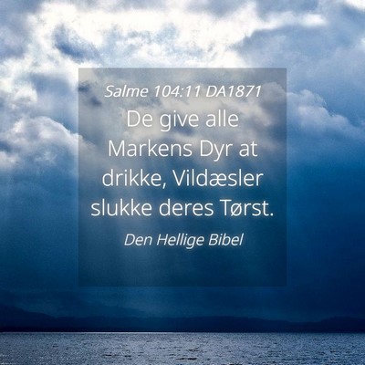 Picture 04 - Salme 104:11 DA1871 - De give alle Markens Dyr at drikke, Vildæsler - Bible Verse Picture