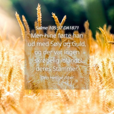 Picture 04 - Salme 105:37 DA1871 - Men hine førte han ud med Sølv og Guld, og der - Bible Verse Picture