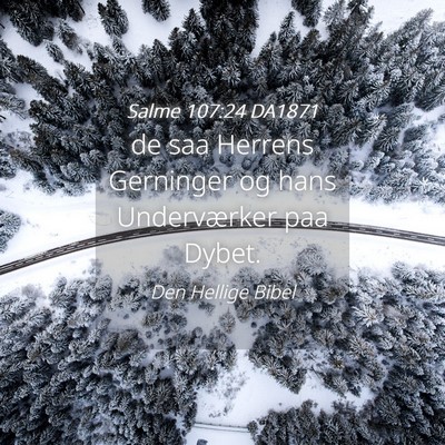 Picture 04 - Salme 107:24 DA1871 - de saa Herrens Gerninger og hans Underværker paa - Bible Verse Picture