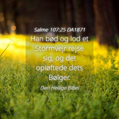 Picture 04 - Salme 107:25 DA1871 - Han bød og lod et Stormvejr rejse sig, og det - Bible Verse Picture