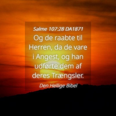 Picture 04 - Salme 107:28 DA1871 - Og de raabte til Herren, da de vare i Angest, og - Bible Verse Picture