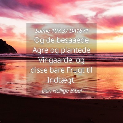 Picture 04 - Salme 107:37 DA1871 - Og de besaaede Agre og plantede Vingaarde, og - Bible Verse Picture