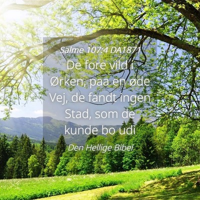 Picture 04 - Salme 107:4 DA1871 - De fore vild i Ørken, paa en øde Vej, de fandt - Bible Verse Picture