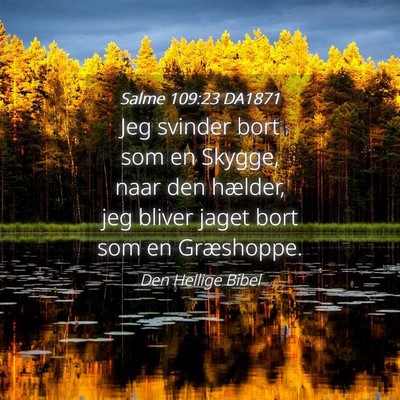 Picture 04 - Salme 109:23 DA1871 - Jeg svinder bort som en Skygge, naar den hælder, - Bible Verse Picture