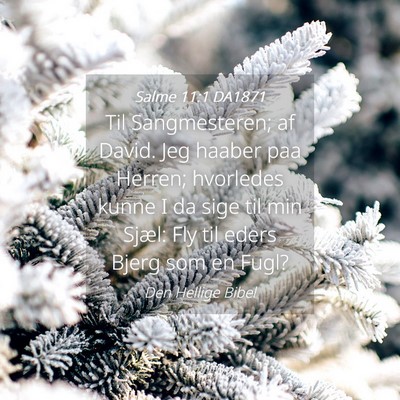 Picture 04 - Salme 11:1 DA1871 - Til Sangmesteren; af David. Jeg haaber paa - Bible Verse Picture