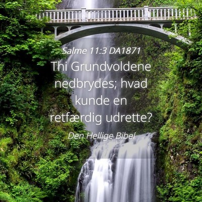 Picture 04 - Salme 11:3 DA1871 - Thi Grundvoldene nedbrydes; hvad kunde en - Bible Verse Picture