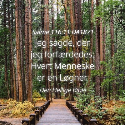 Picture 04 - Salme 116:11 DA1871 - Jeg sagde, der jeg forfærdedes: Hvert Menneske - Bible Verse Picture