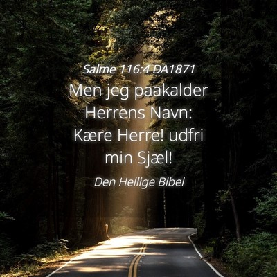 Picture 04 - Salme 116:4 DA1871 - Men jeg paakalder Herrens Navn: Kære Herre! - Bible Verse Picture