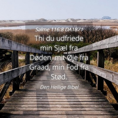 Picture 04 - Salme 116:8 DA1871 - Thi du udfriede min Sjæl fra Døden, mit Øje - Bible Verse Picture
