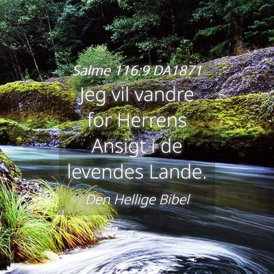 Picture 04 - Salme 116:9 DA1871 - Jeg vil vandre for Herrens Ansigt i de levendes - Bible Verse Picture